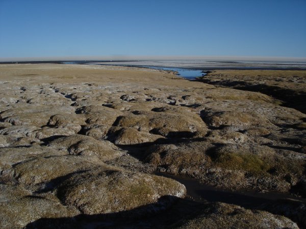 Pobřeží solné pláně.